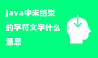 java中未结束的字符文字什么意思