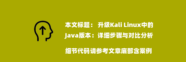  升级Kali Linux中的Java版本：详细步骤与对比分析