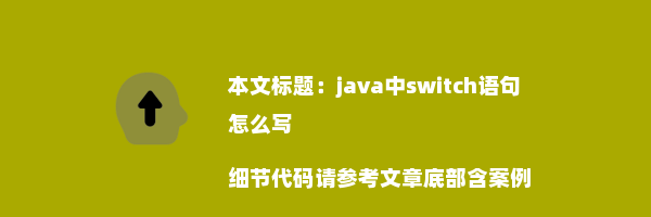 java中switch语句怎么写