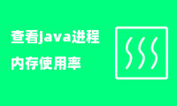 查看java进程内存使用率