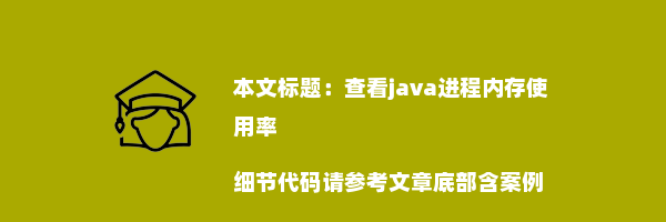 查看java进程内存使用率