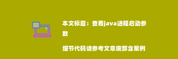 查看java进程启动参数