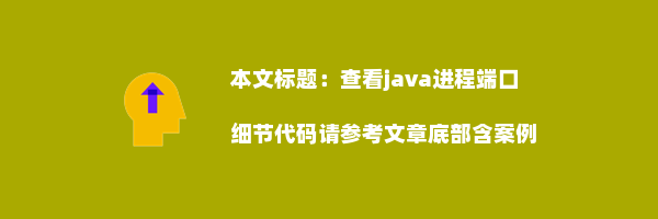 查看java进程端口