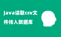 java读取csv文件传入数据库