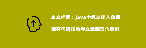 java中怎么输入数据