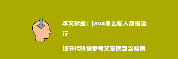 java怎么输入数据运行