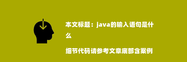 java的输入语句是什么