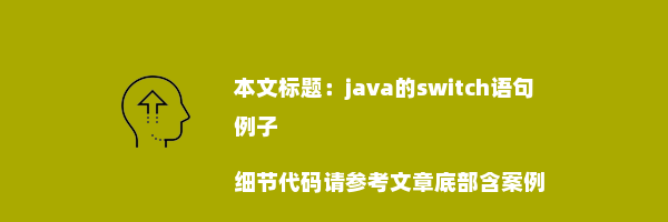 java的switch语句例子