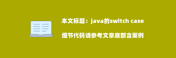 java的switch case