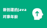 新创建的java对象年龄