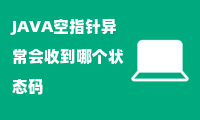 JAVA空指针异常会收到哪个状态码