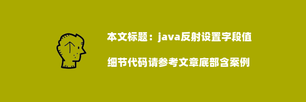 java反射设置字段值