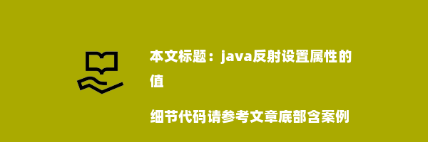 java反射设置属性的值