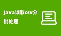 java读取csv分批处理