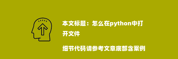 怎么在python中打开文件